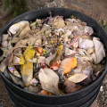 製作堆肥的桶子warm-cam :: 照片來源：劉曼儀
